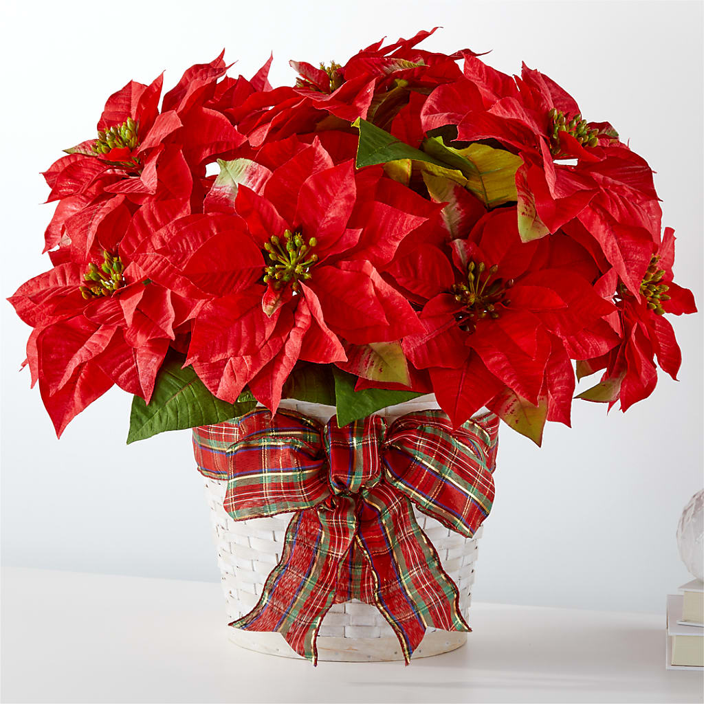 Happiest Holidays Poinsettia – ROY'S FLORIST, Winnipeg MB