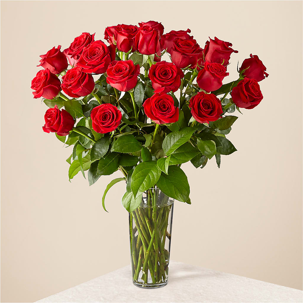 Long Stem Red Rose Bouquet – ROY'S FLORIST, Winnipeg MB