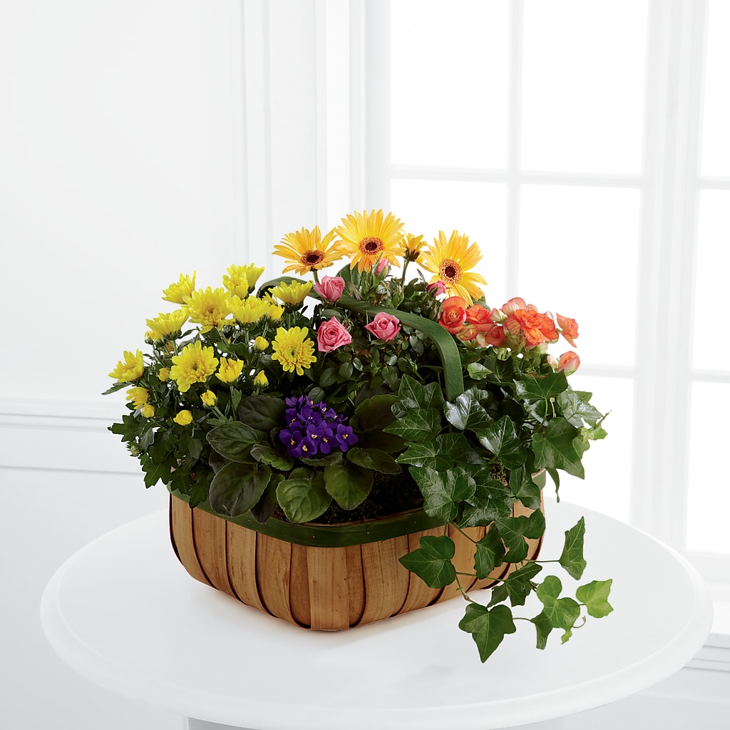 Gentle Blossoms Basket – ROY'S FLORIST, Winnipeg MB