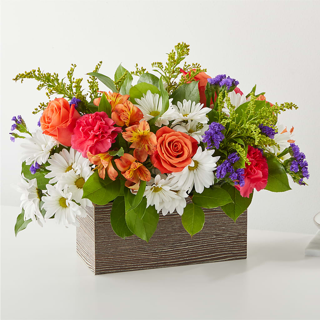 Oopsie Daisy Box Bouquet – ROY'S FLORIST, Winnipeg MB