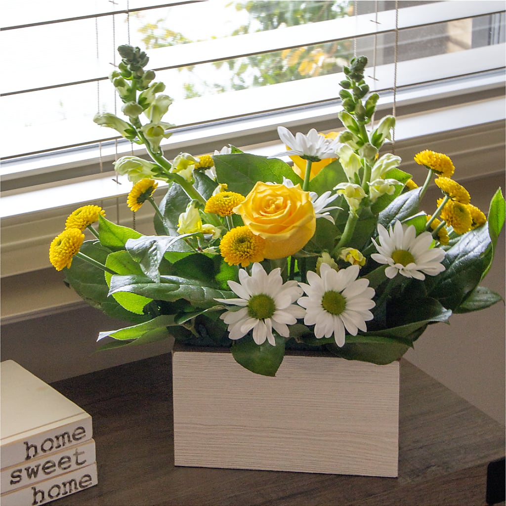 Sun Salutation Box Bouquet – ROY'S FLORIST, Winnipeg MB