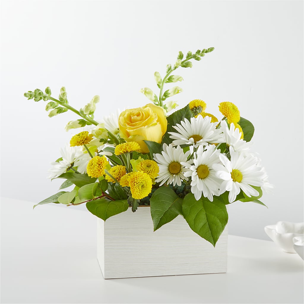 Sun Salutation Box Bouquet – ROY'S FLORIST, Winnipeg MB