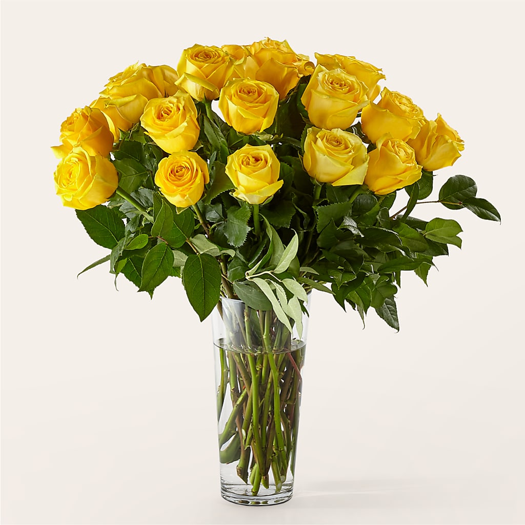 Long Stem Yellow Rose Bouquet – ROY'S FLORIST, Winnipeg MB