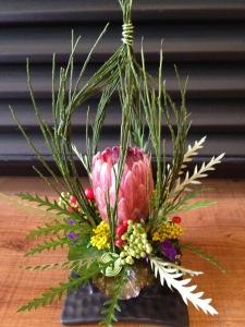 Pink Mink Protea Cage