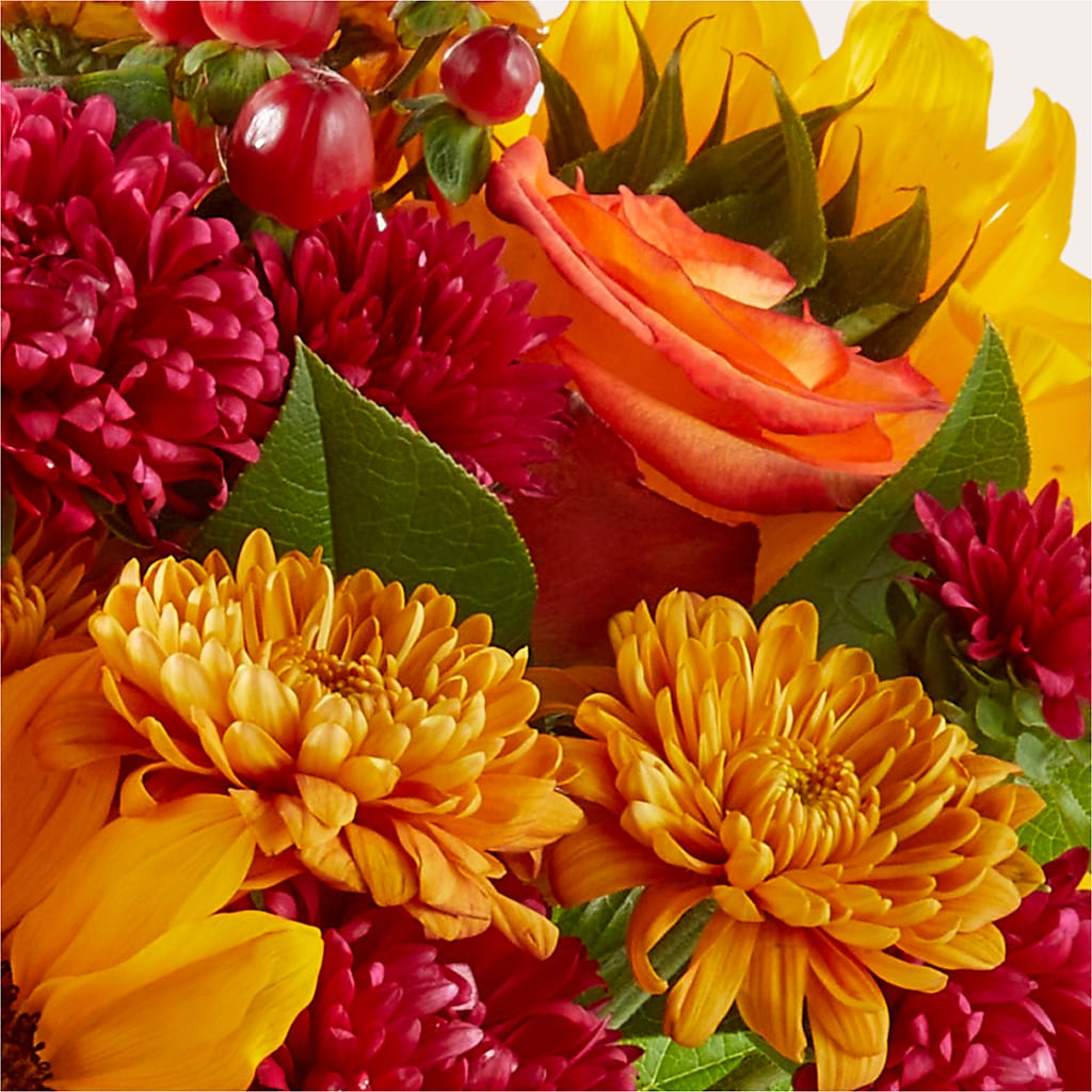 Sweater Season - A Florist Original – ROY'S FLORIST, Winnipeg MB
