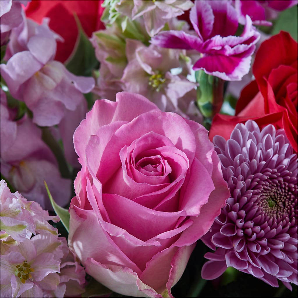 Better Together - A Luxury Florist Original – ROY'S FLORIST, Winnipeg MB