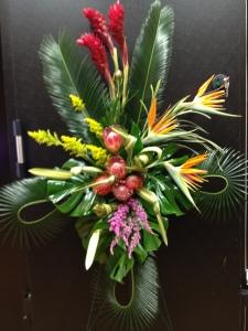 Tropical Spray