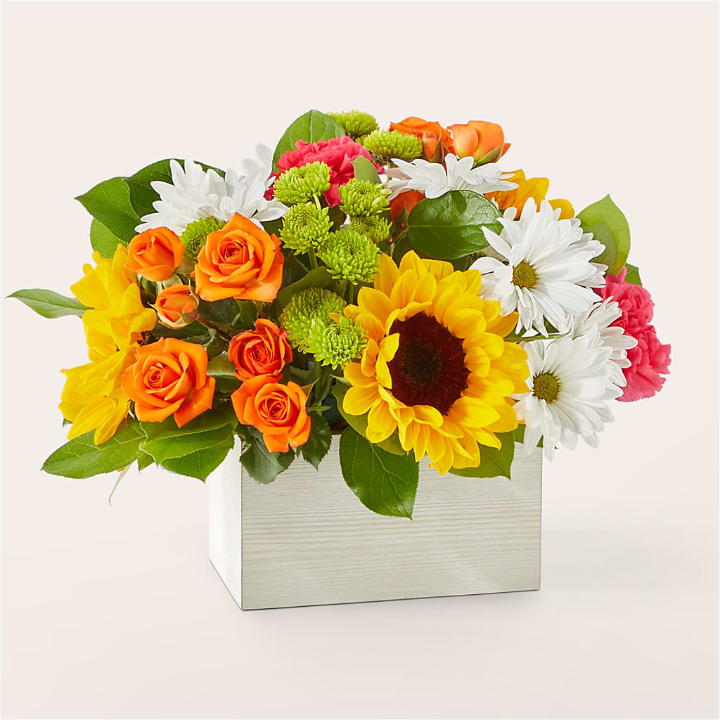 Sun-drenched Blooms Box Bouquet – ROY'S FLORIST, Winnipeg MB