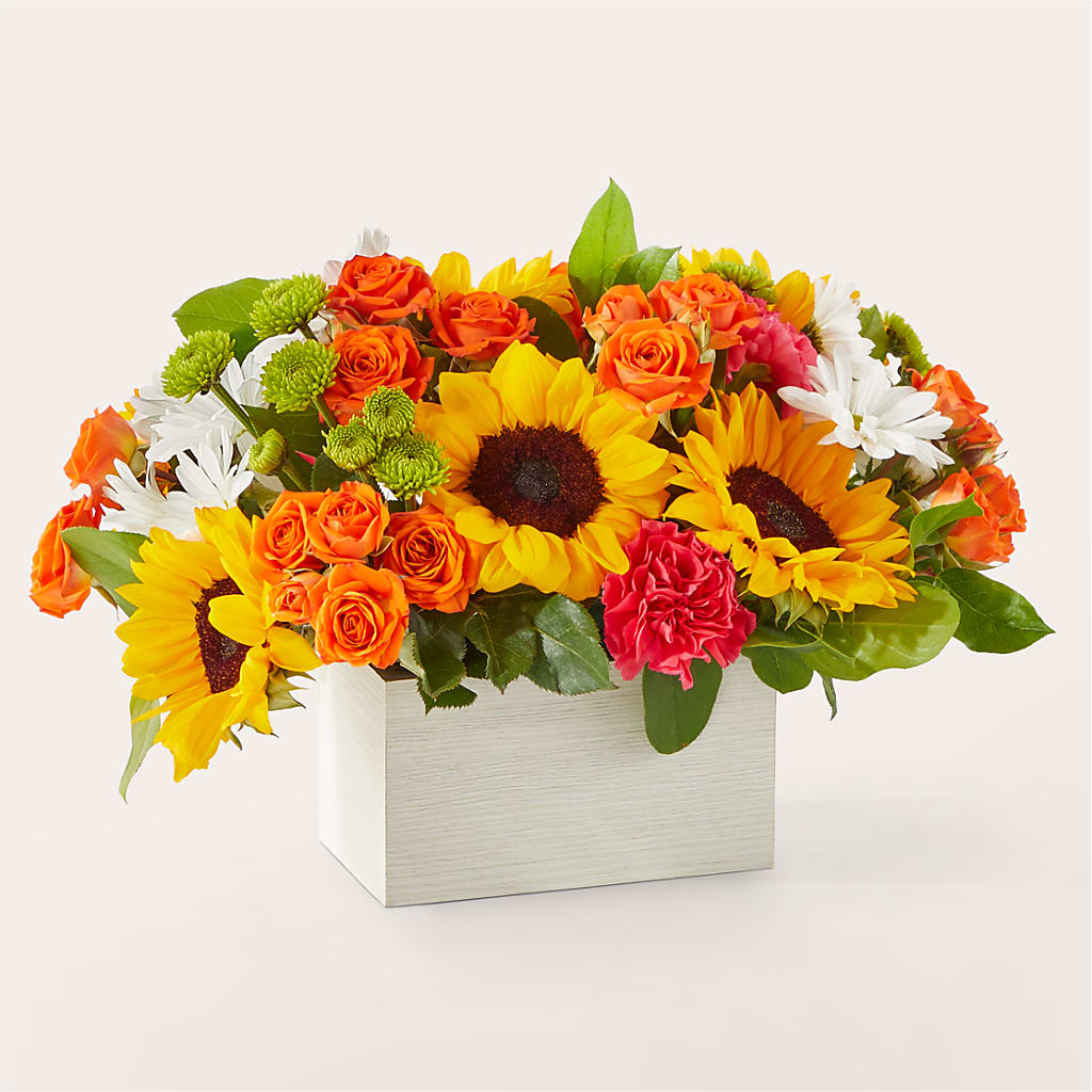 Sun-drenched Blooms Box Bouquet – ROY'S FLORIST, Winnipeg MB