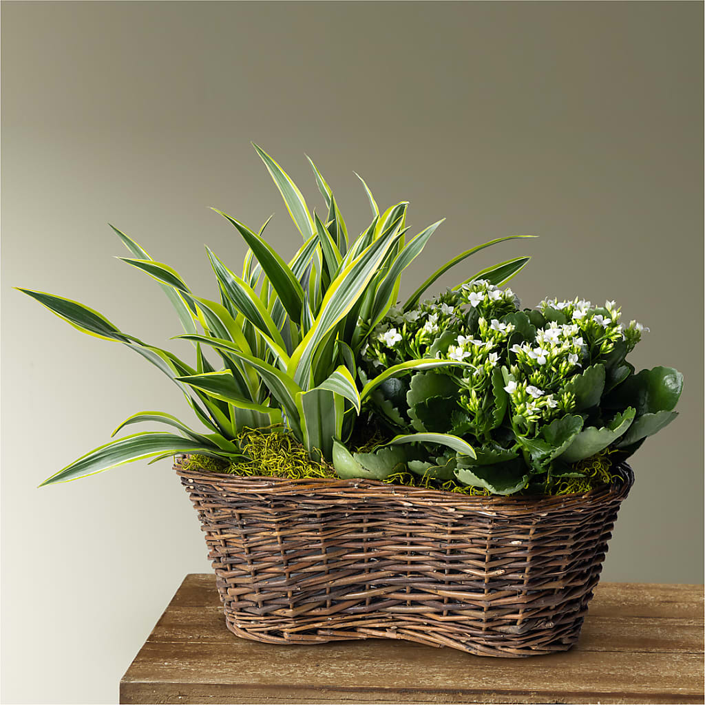 Blooming Garden – ROY'S FLORIST, Winnipeg MB