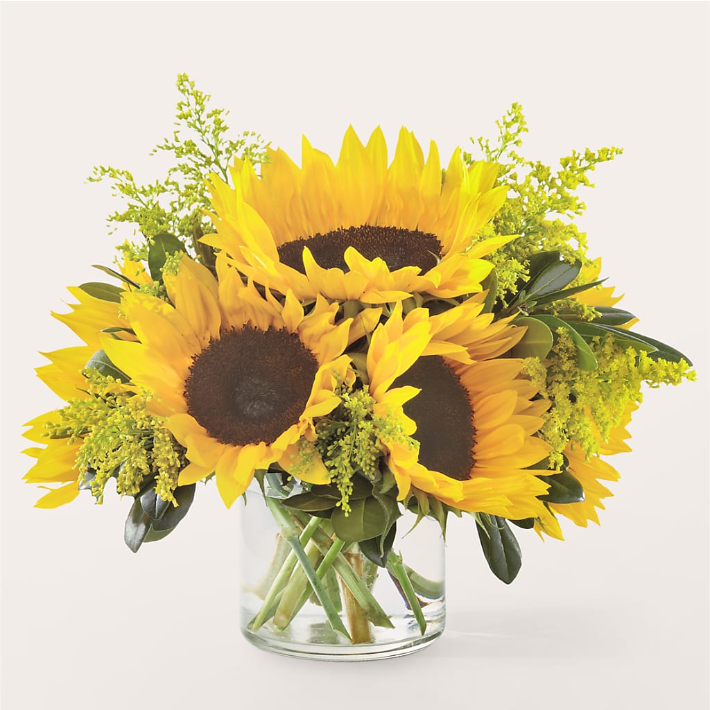 Beaming Sunflower Bouquet – ROY'S FLORIST, Winnipeg MB
