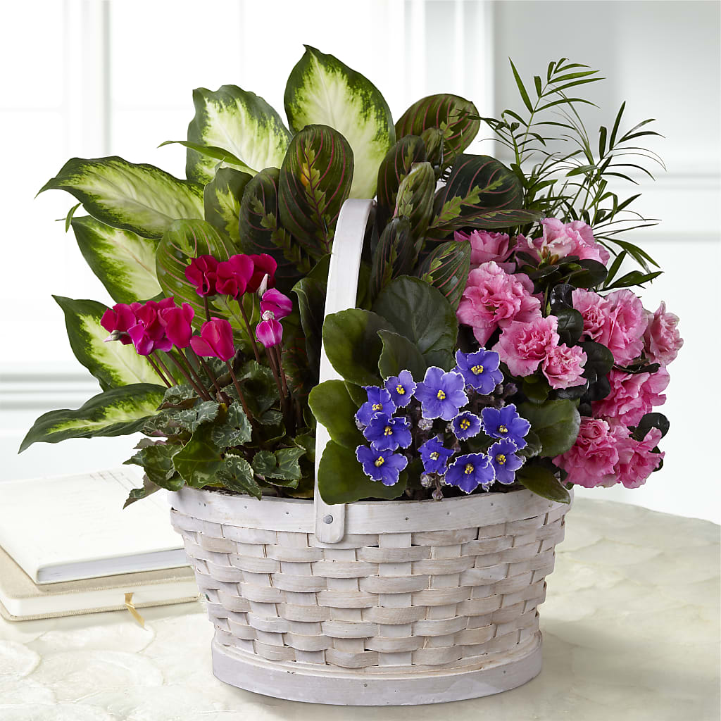 Peaceful Garden Planter – ROY'S FLORIST, Winnipeg MB