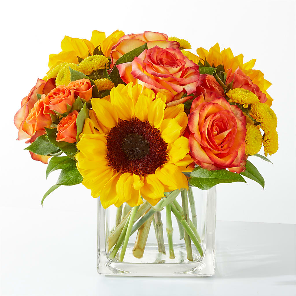 Picnic in the Park Bouquet – ROY'S FLORIST, Winnipeg MB