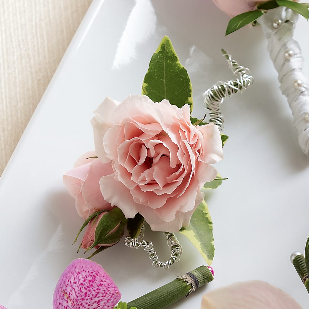 Pink Spray Rose Boutonniere – ROY'S FLORIST, Winnipeg MB
