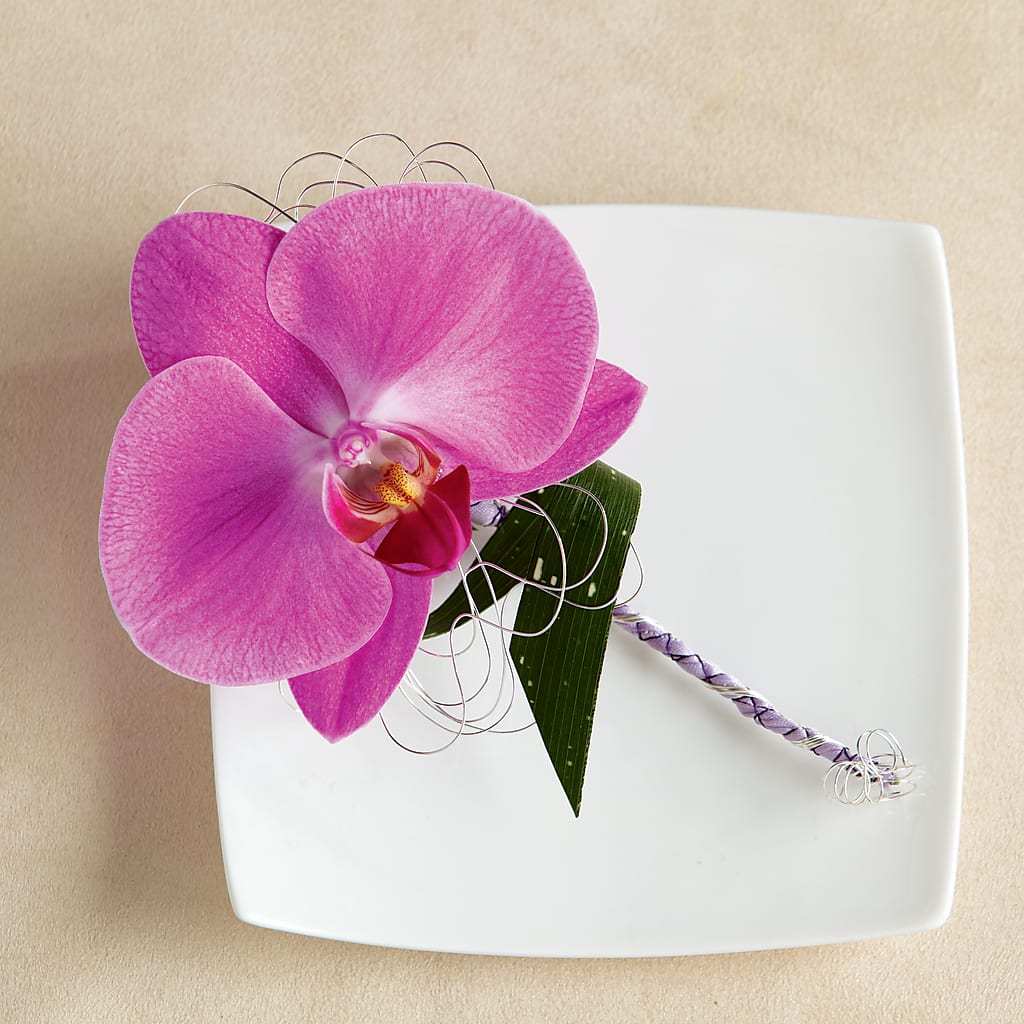 Glorious Boutonniere – ROY'S FLORIST, Winnipeg MB