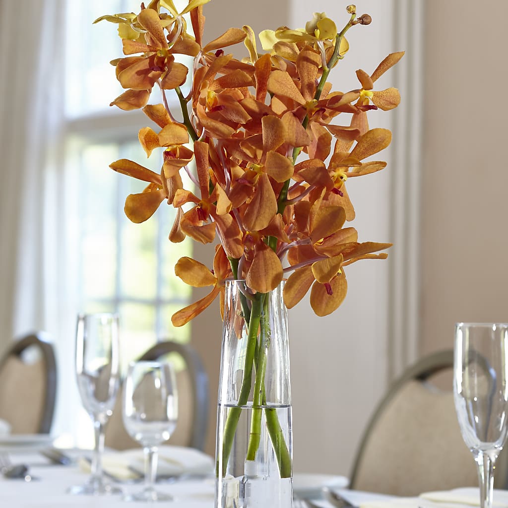 Orange Mokara Bud Vase – ROY'S FLORIST, Winnipeg MB
