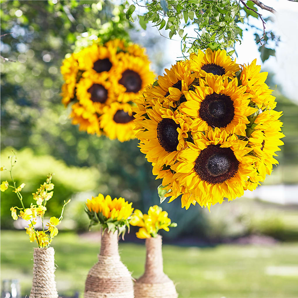 Sublime Garden Hanging Arrangement – ROY'S FLORIST, Winnipeg MB