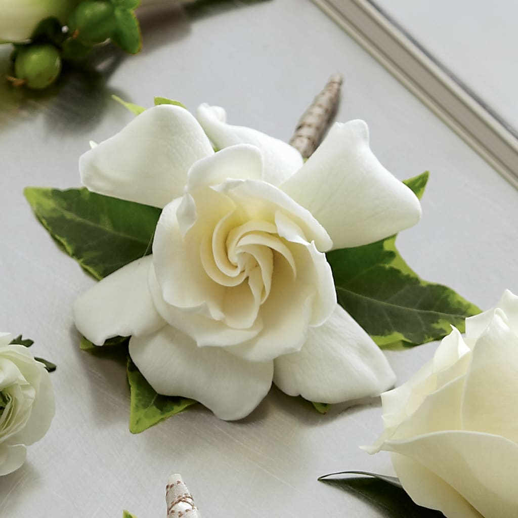 Gardenia Boutonniere – ROY'S FLORIST, Winnipeg MB