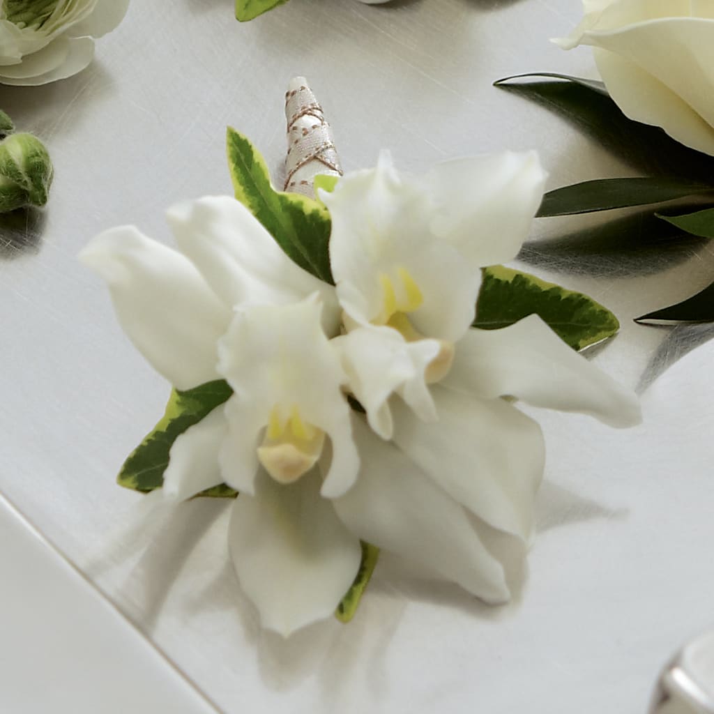 White Mini Cymbidium Boutonniere – ROY'S FLORIST, Winnipeg MB