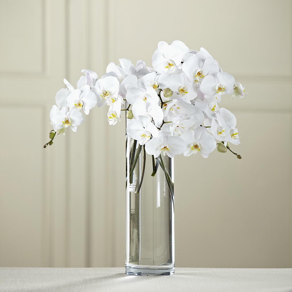 White Phalaenopsis Bouquet – ROY'S FLORIST, Winnipeg MB