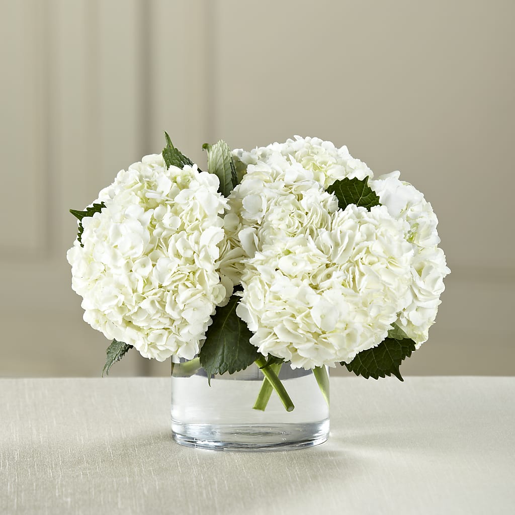 White Hydrangea Bouquet – ROY'S FLORIST, Winnipeg MB
