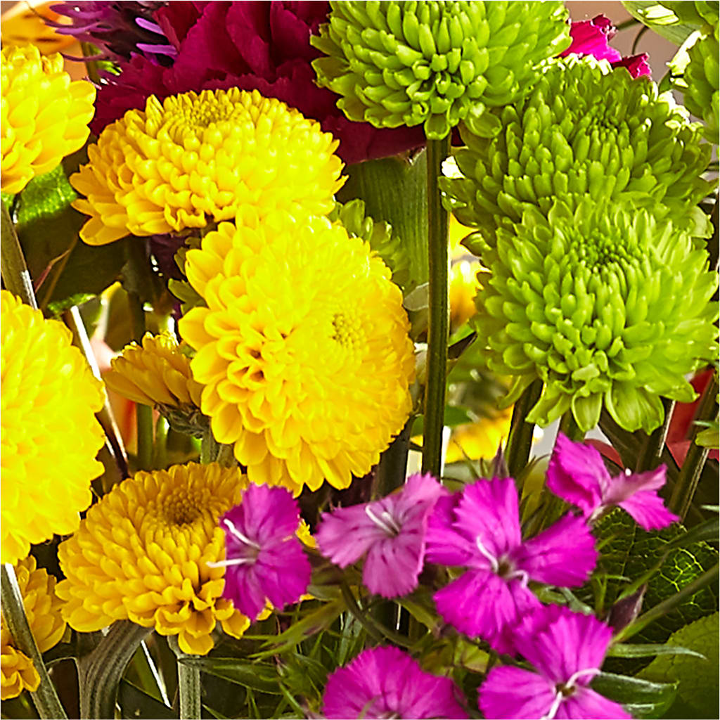 Bold & Bright – A Florist Original – ROY'S FLORIST, Winnipeg MB