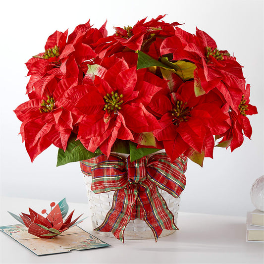 Tarjeta con Poinsettia y Lovepop para las más felices fiestas