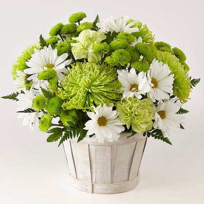 Lucky Charm Basket (Standard) – ROY'S FLORIST, Winnipeg MB