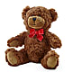 Adorable Plush Bear – ROY'S FLORIST, Winnipeg MB