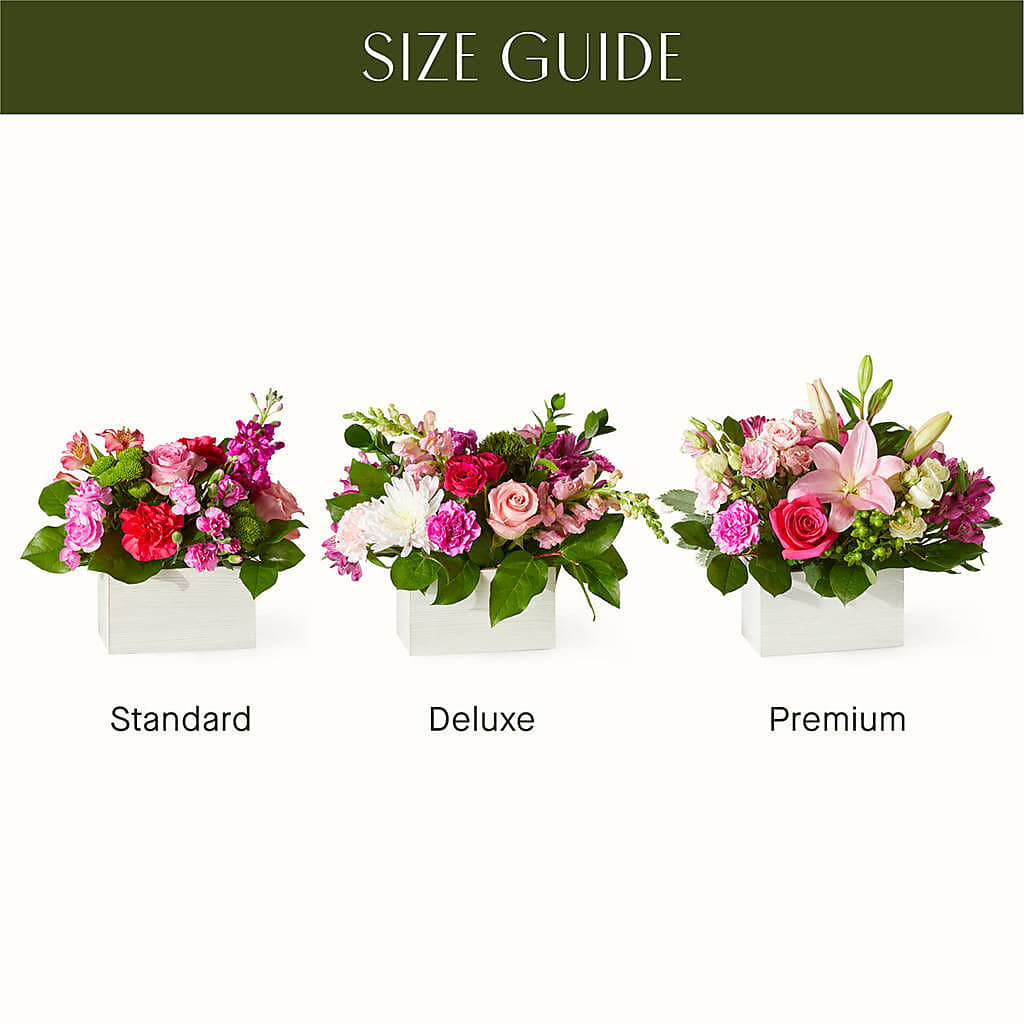 Sweetberry Box – A Florist Original – ROY'S FLORIST, Winnipeg MB