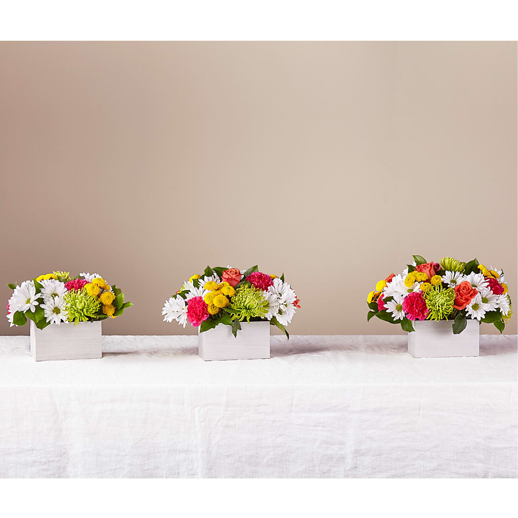 Sorbet Bouquet – ROY'S FLORIST, Winnipeg MB