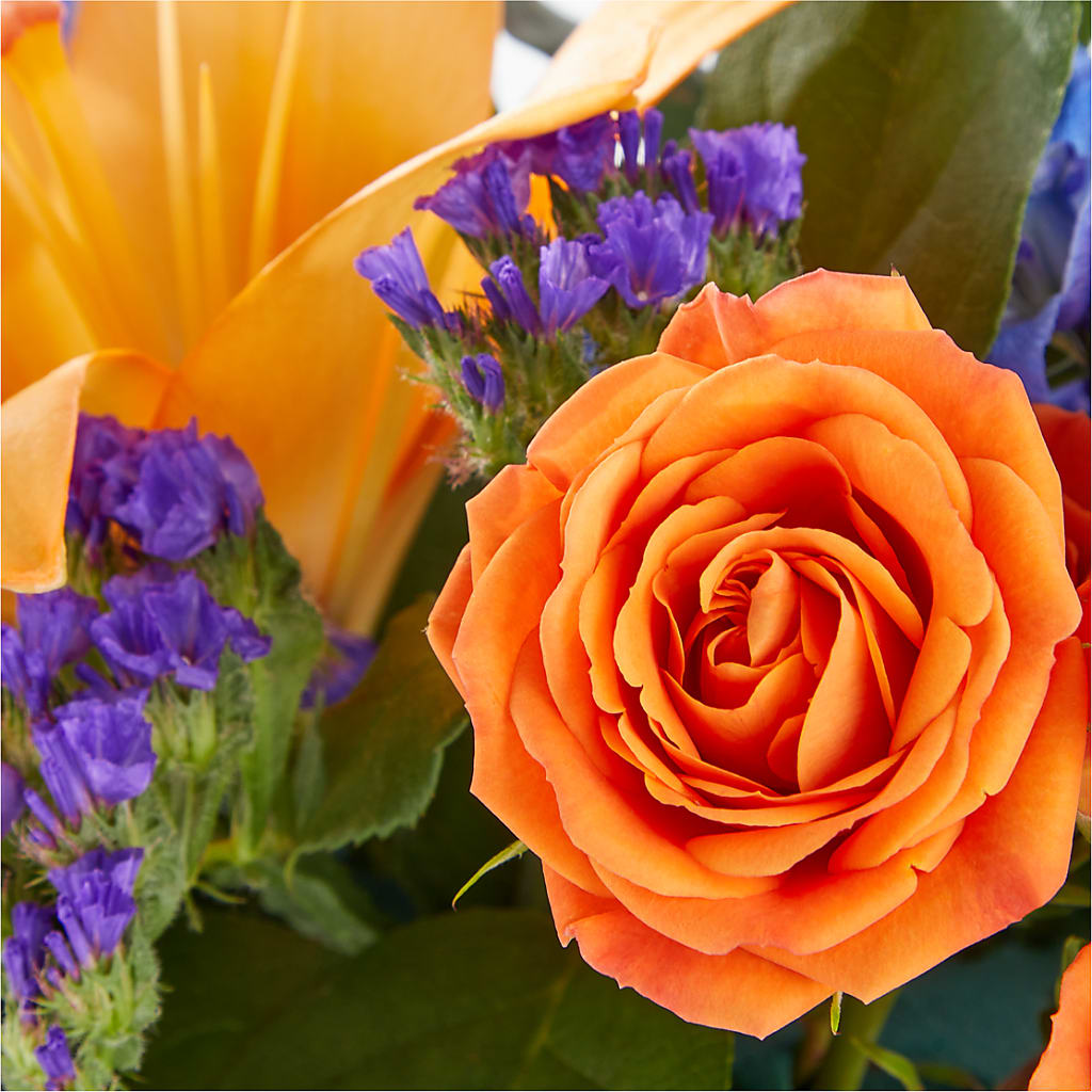 Radiant Citrus Box Bouquet – ROY'S FLORIST, Winnipeg MB