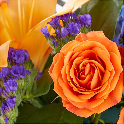 Radiant Citrus Box Bouquet – ROY'S FLORIST, Winnipeg MB