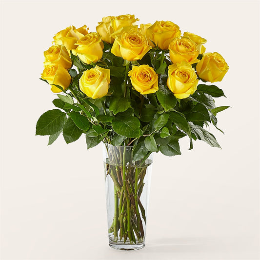 Long Stem Yellow Rose Bouquet – ROY'S FLORIST, Winnipeg MB