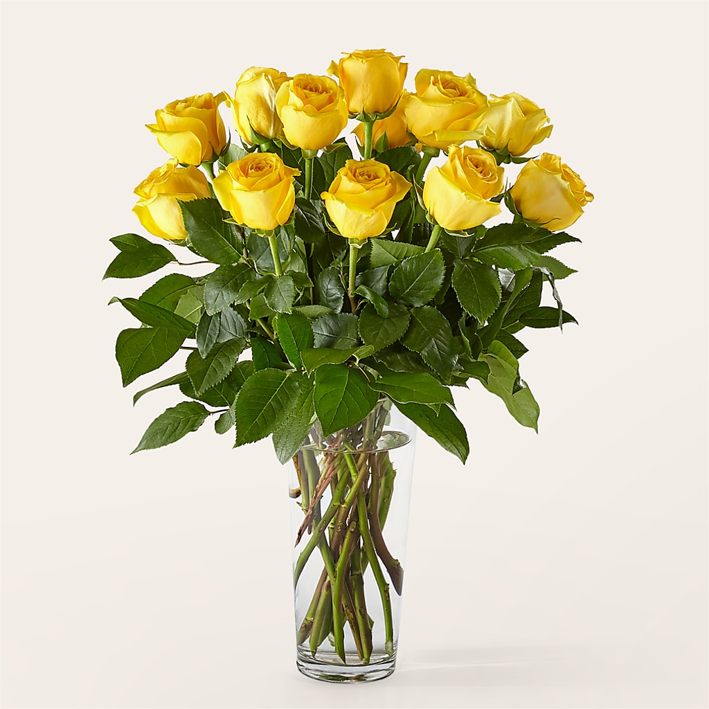 Long Stem Yellow Rose Bouquet – ROY'S FLORIST, Winnipeg MB