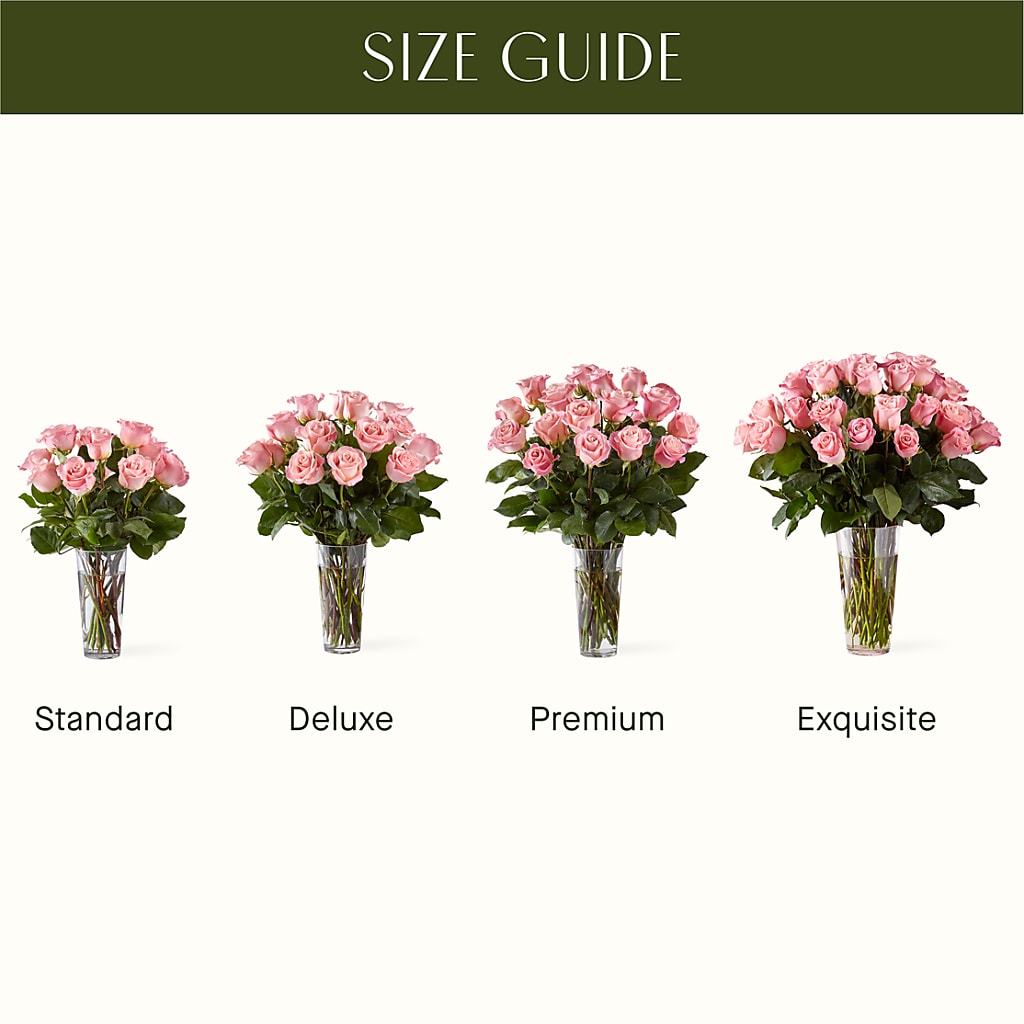 Long Stem Pink Rose Bouquet – ROY'S FLORIST, Winnipeg MB