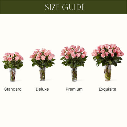 Long Stem Pink Rose Bouquet – ROY'S FLORIST, Winnipeg MB