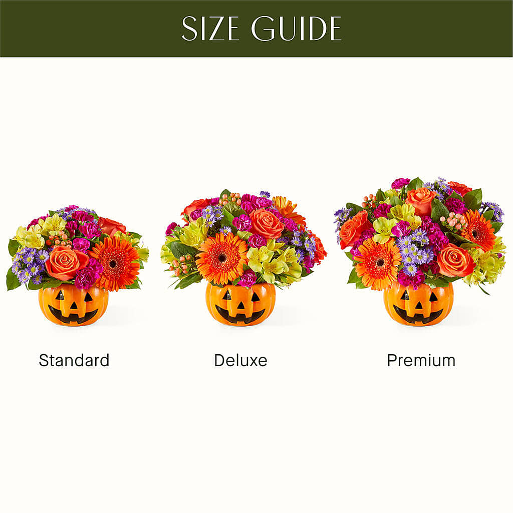 Tricks & Treats Pumpkin – ROY'S FLORIST, Winnipeg MB