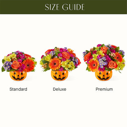 Tricks & Treats Pumpkin – ROY'S FLORIST, Winnipeg MB
