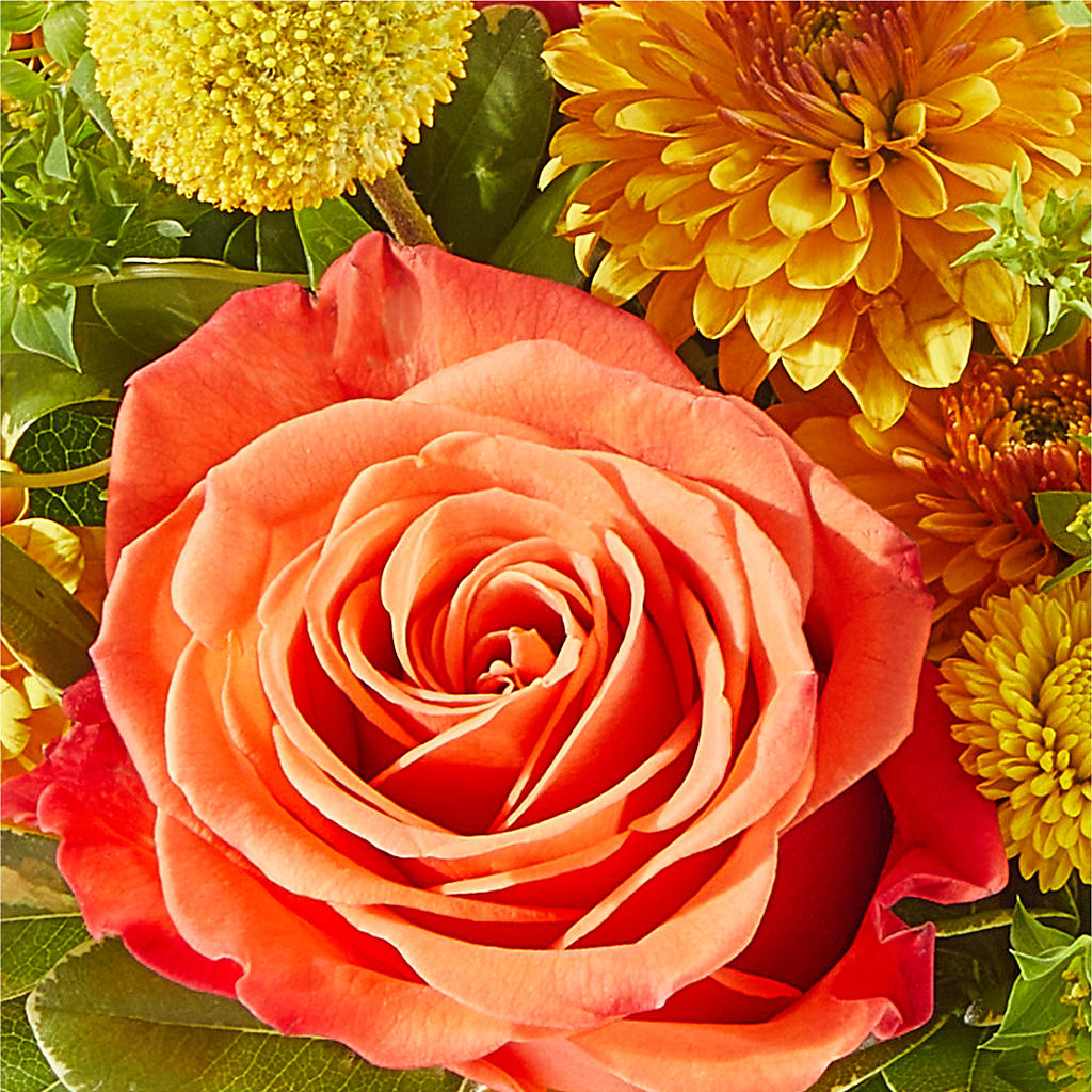 Gourdgeous Pumpkin – ROY'S FLORIST, Winnipeg MB