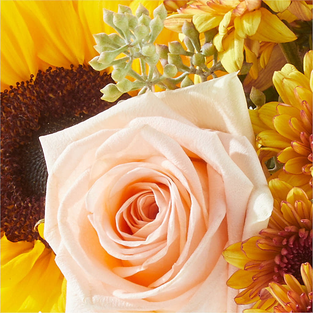 Pumpkin to Talk About Bouquet – ROY'S FLORIST, Winnipeg MB