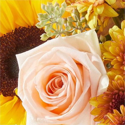 Pumpkin to Talk About Bouquet – ROY'S FLORIST, Winnipeg MB