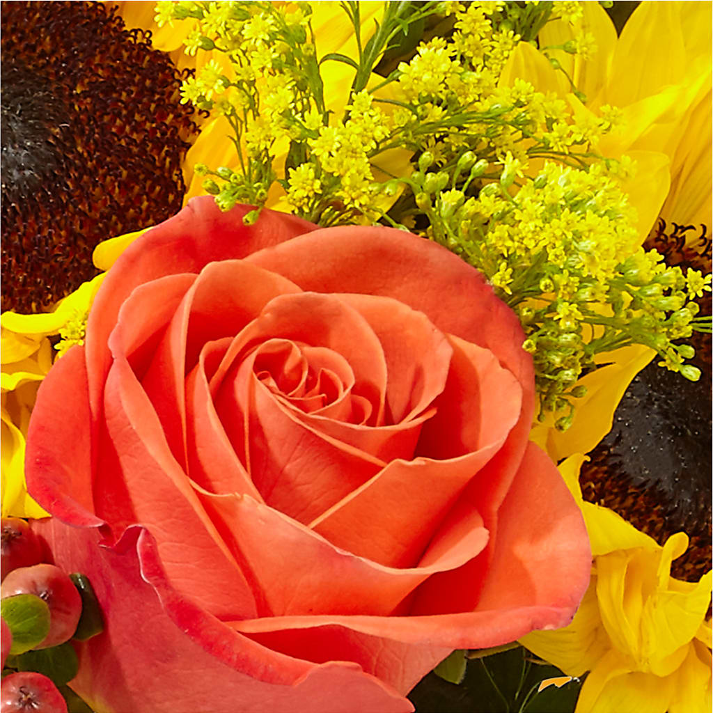 Pick of the Patch Pumpkin Bouquet – ROY'S FLORIST, Winnipeg MB