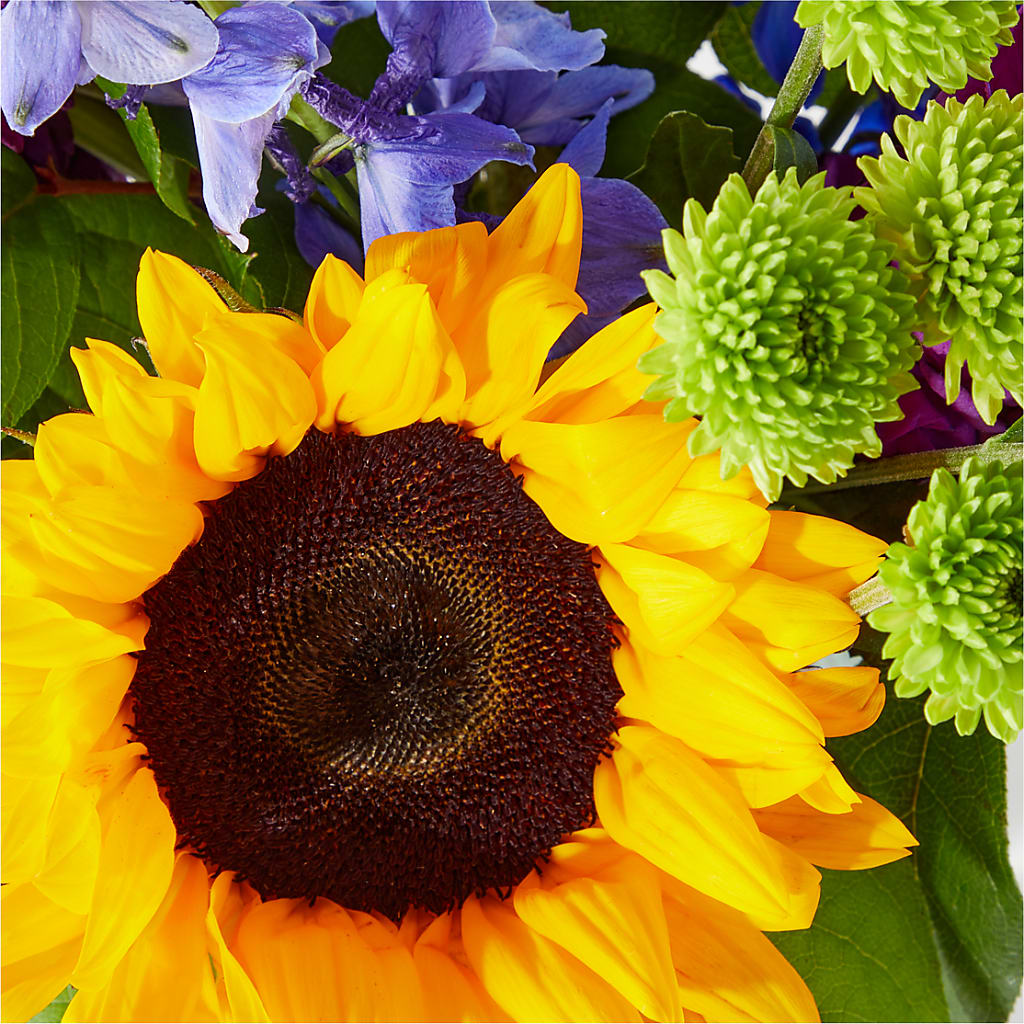 Catching Rays Bouquet – ROY'S FLORIST, Winnipeg MB