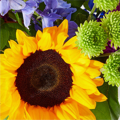 Catching Rays Bouquet – ROY'S FLORIST, Winnipeg MB