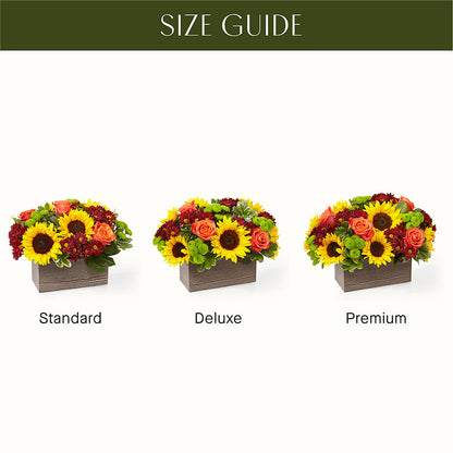 Happy Harvest Garden – ROY'S FLORIST, Winnipeg MB