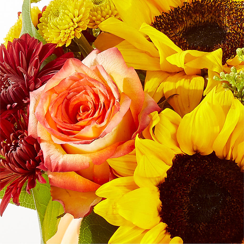 Golden Gourd Pumpkin Bouquet – ROY'S FLORIST, Winnipeg MB