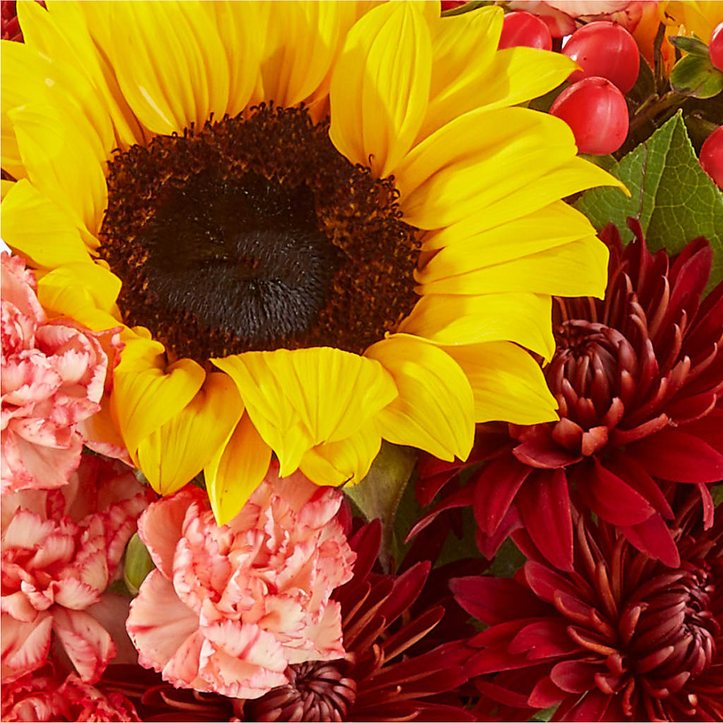 Fresh Cider Bouquet – ROY'S FLORIST, Winnipeg MB