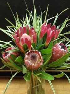 Pink Mink Proteas – ROY'S FLORIST, Winnipeg MB