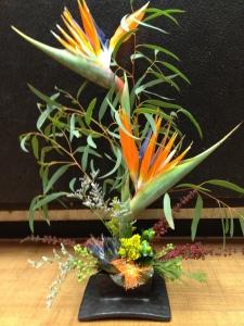 A Couple of Birds – ROY'S FLORIST, Winnipeg MB